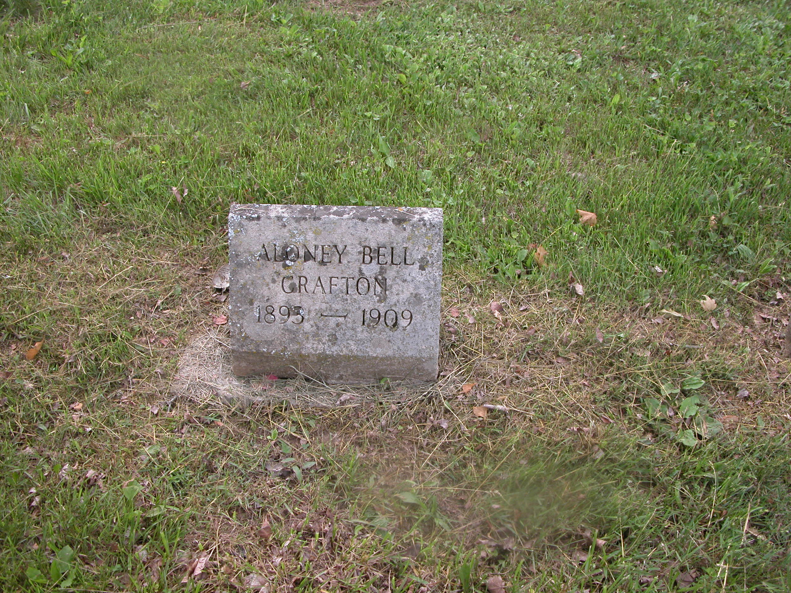 Lucas Cemetery Photos